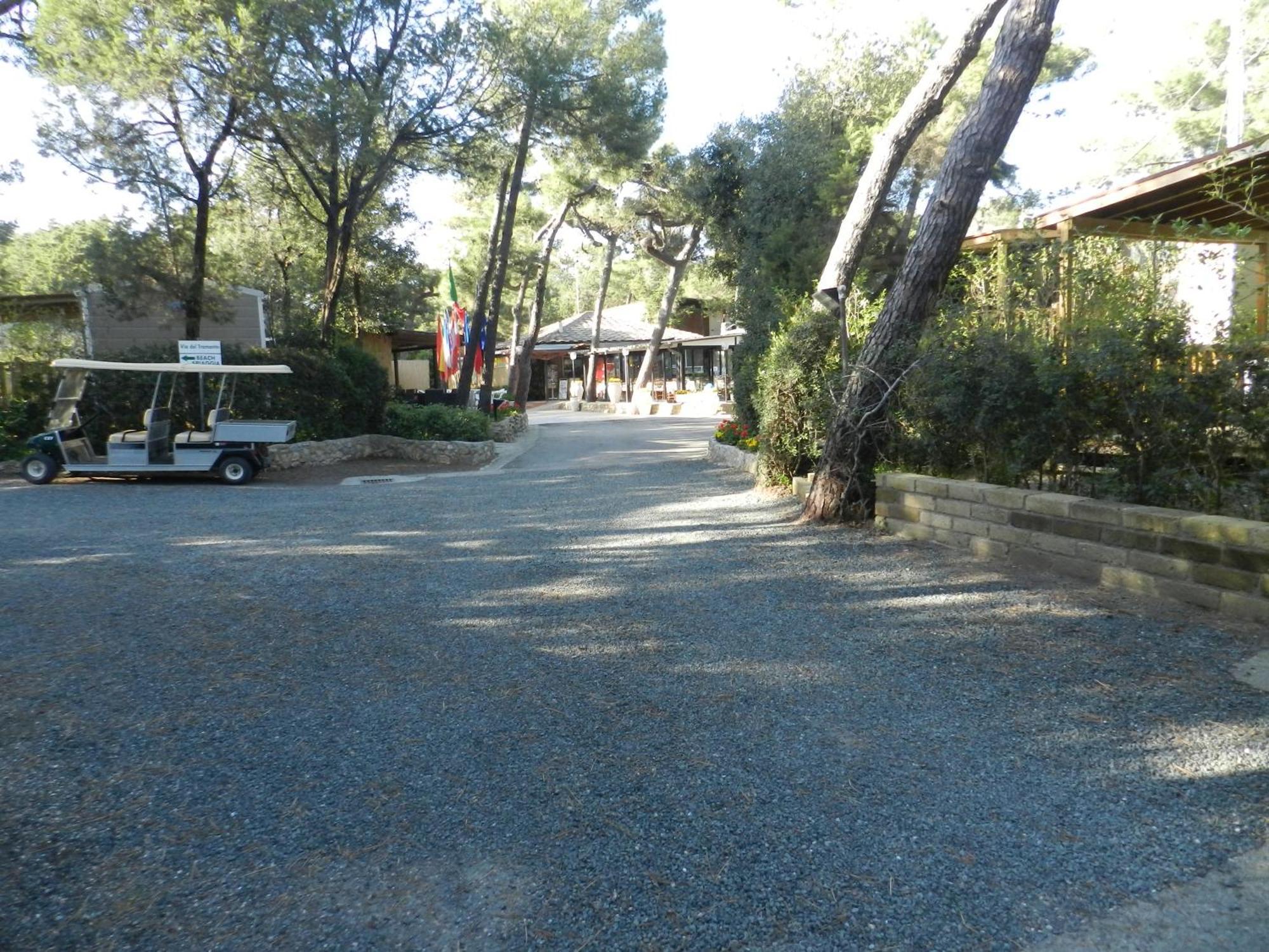 Camping Casa Di Caccia Marina Di Bibbona Bagian luar foto