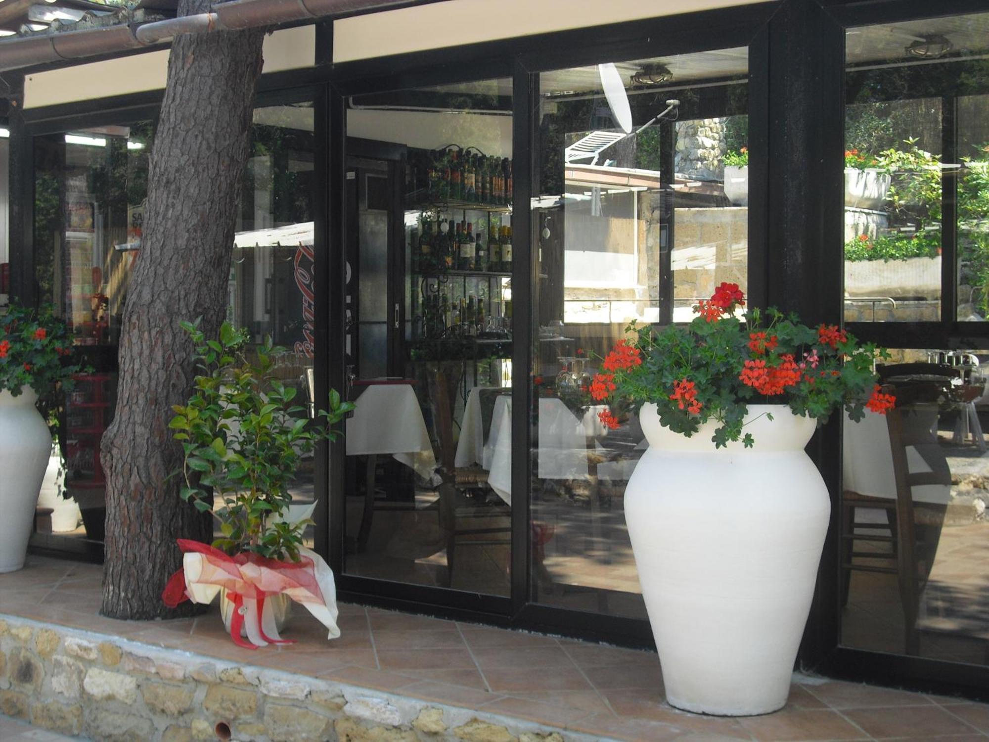 Camping Casa Di Caccia Marina Di Bibbona Bagian luar foto