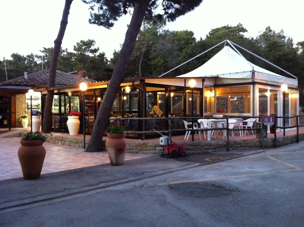 Camping Casa Di Caccia Marina Di Bibbona Bagian luar foto