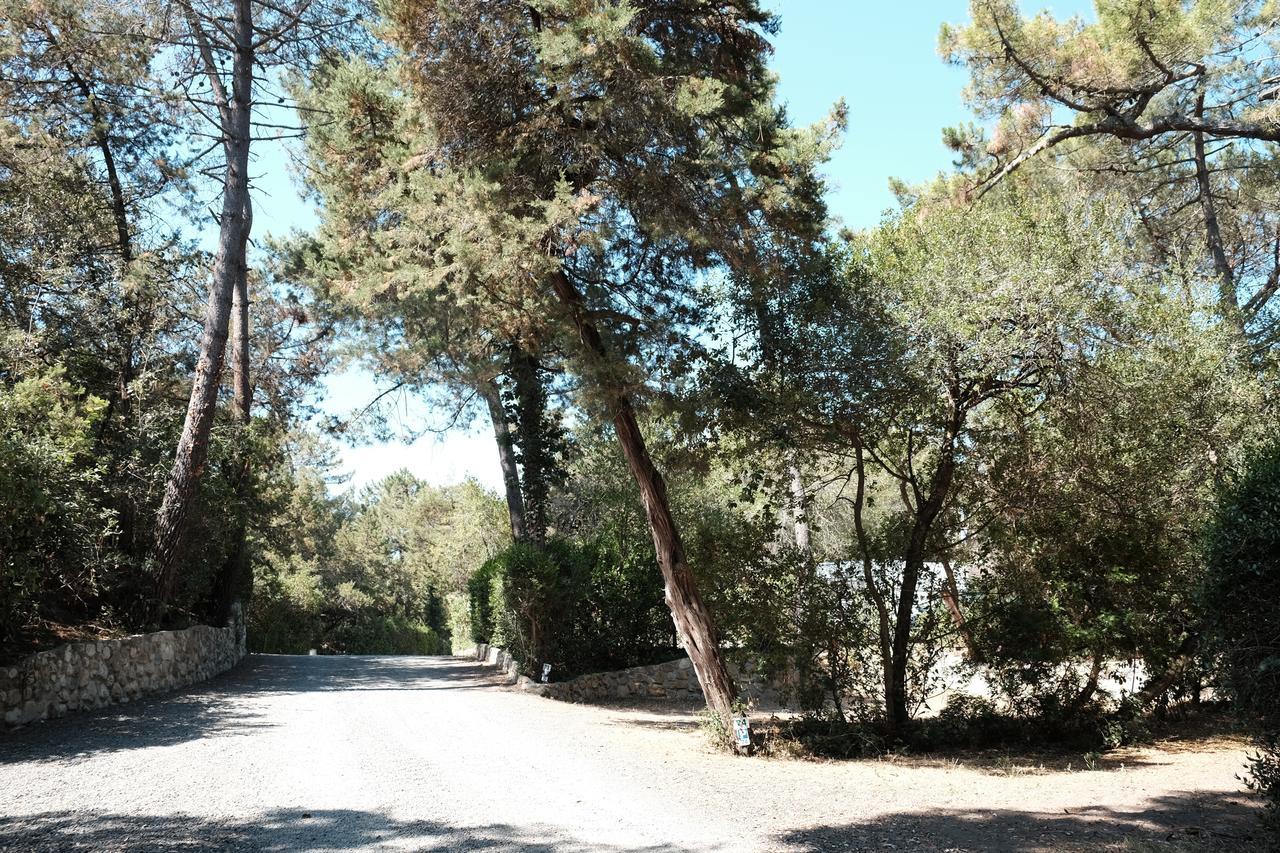 Camping Casa Di Caccia Marina Di Bibbona Bagian luar foto