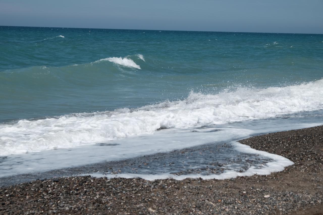 Camping Casa Di Caccia Marina Di Bibbona Bagian luar foto