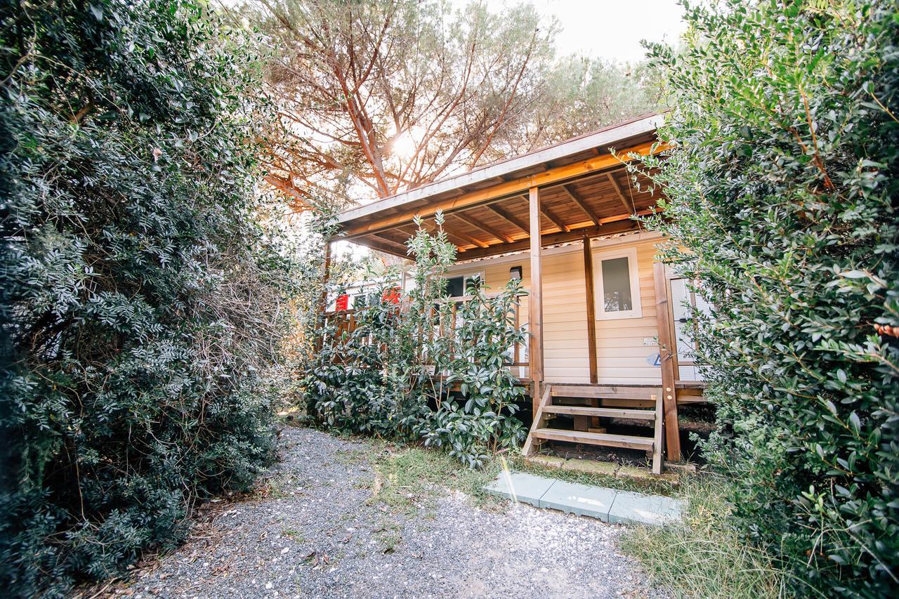 Camping Casa Di Caccia Marina Di Bibbona Bagian luar foto